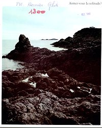 La brochure commerciale du millsime 1966